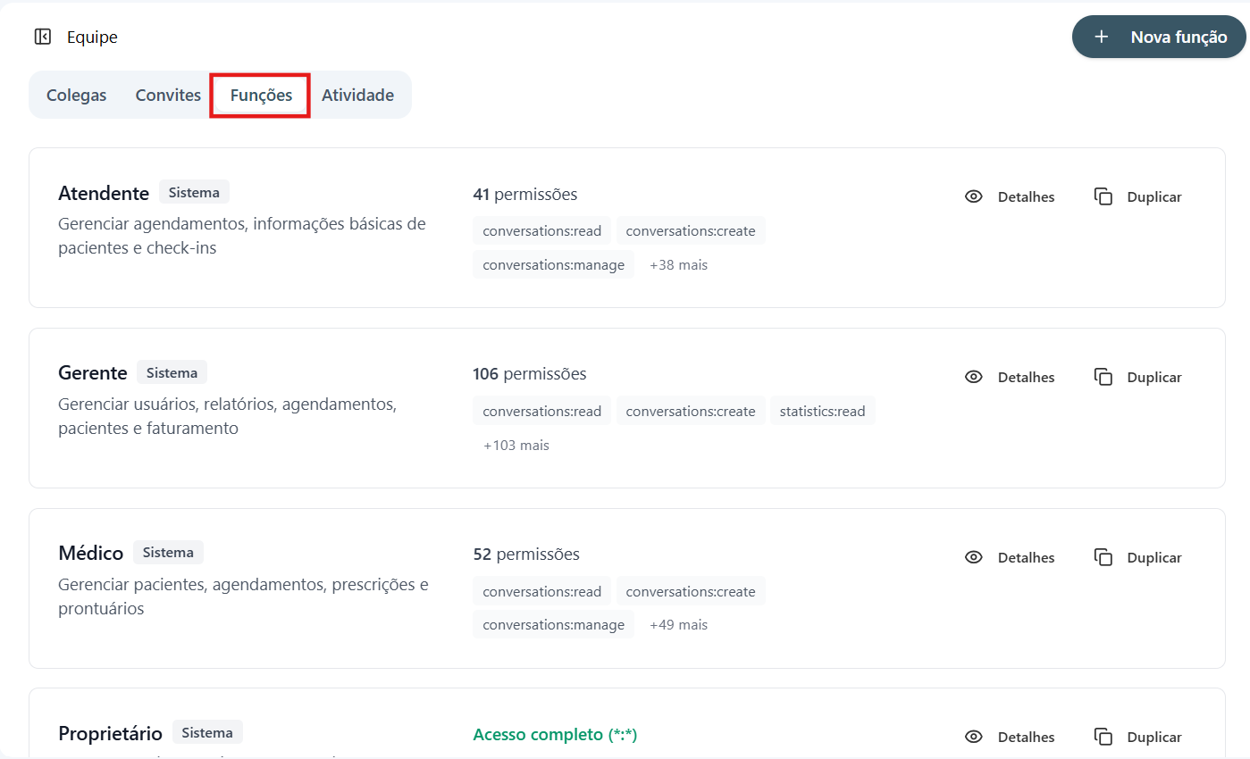 Aba Funções destacada no menu superior da área Equipe