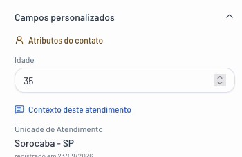 Seção Campos personalizados no painel da conversa, com o atributo do contato Idade e o contexto do atendimento Unidade de Atendimento